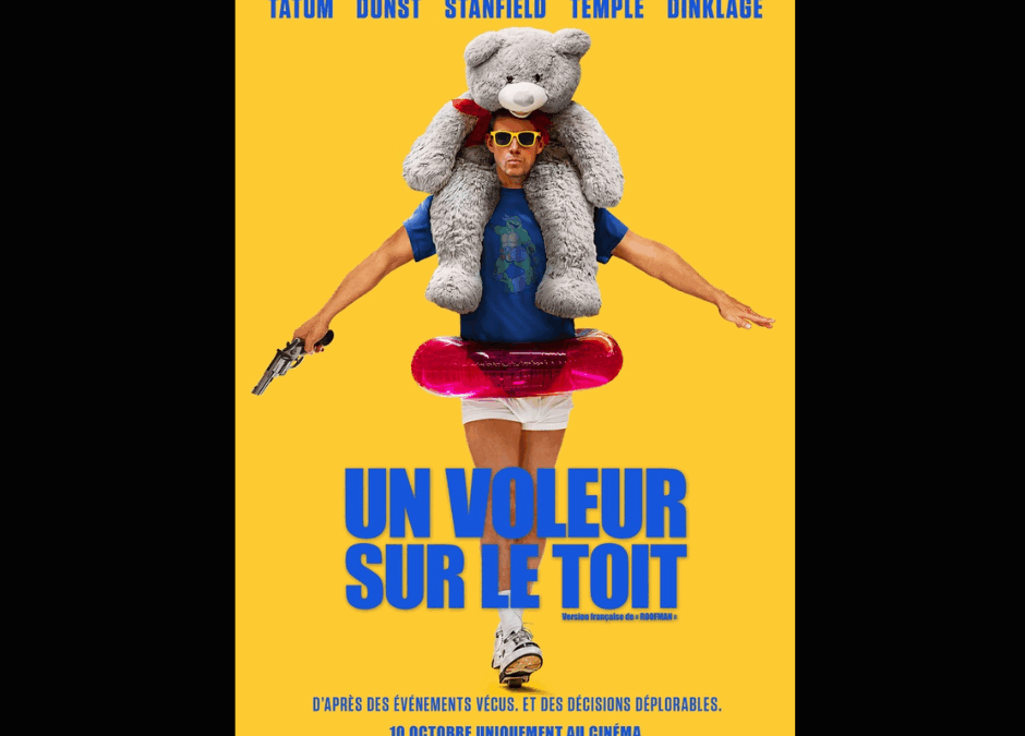 Un voleur sur le toit